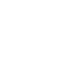 Logo whe play branco